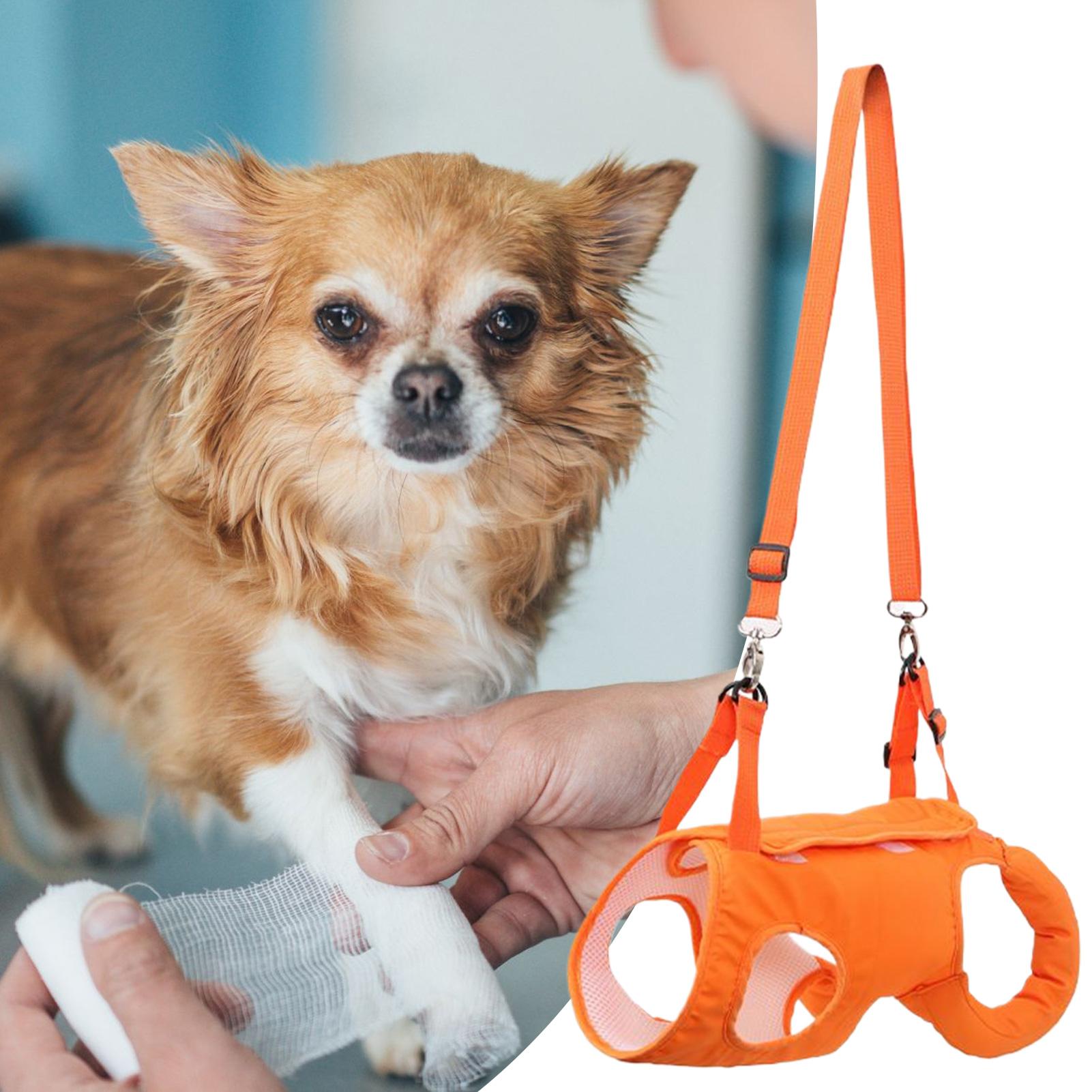 Porta imbracatura per cani di  - Ladder Toss Set recensione e prezzo